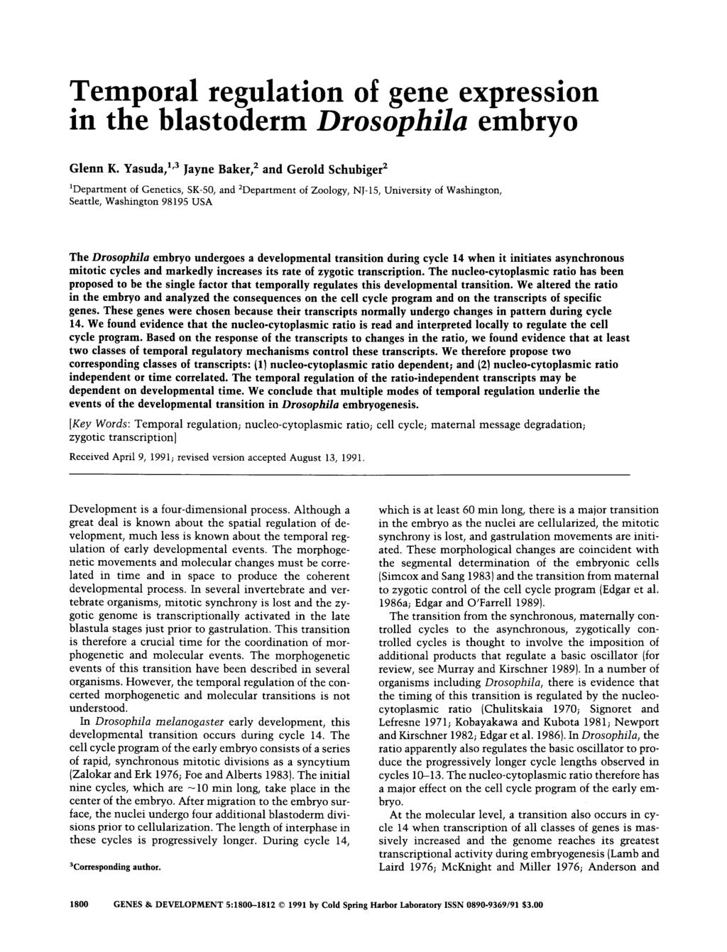 Temporal regulation of gene expression in the blastoderm Drosophila embryo Glenn K.