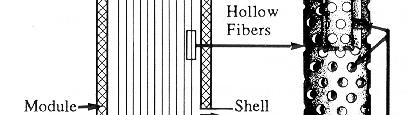 Hollow fiber supported liquid