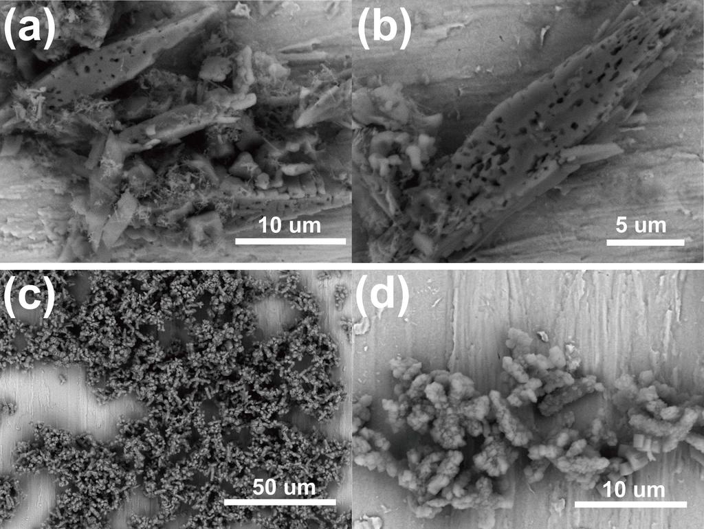 High ph value and long reaction time would favor self-assembled nanostructure. Fig. 1. SEM images of LFP samples from ph value of (a,b) ph = 8, (c,d) ph = 9 for 12h. Fig. 2.