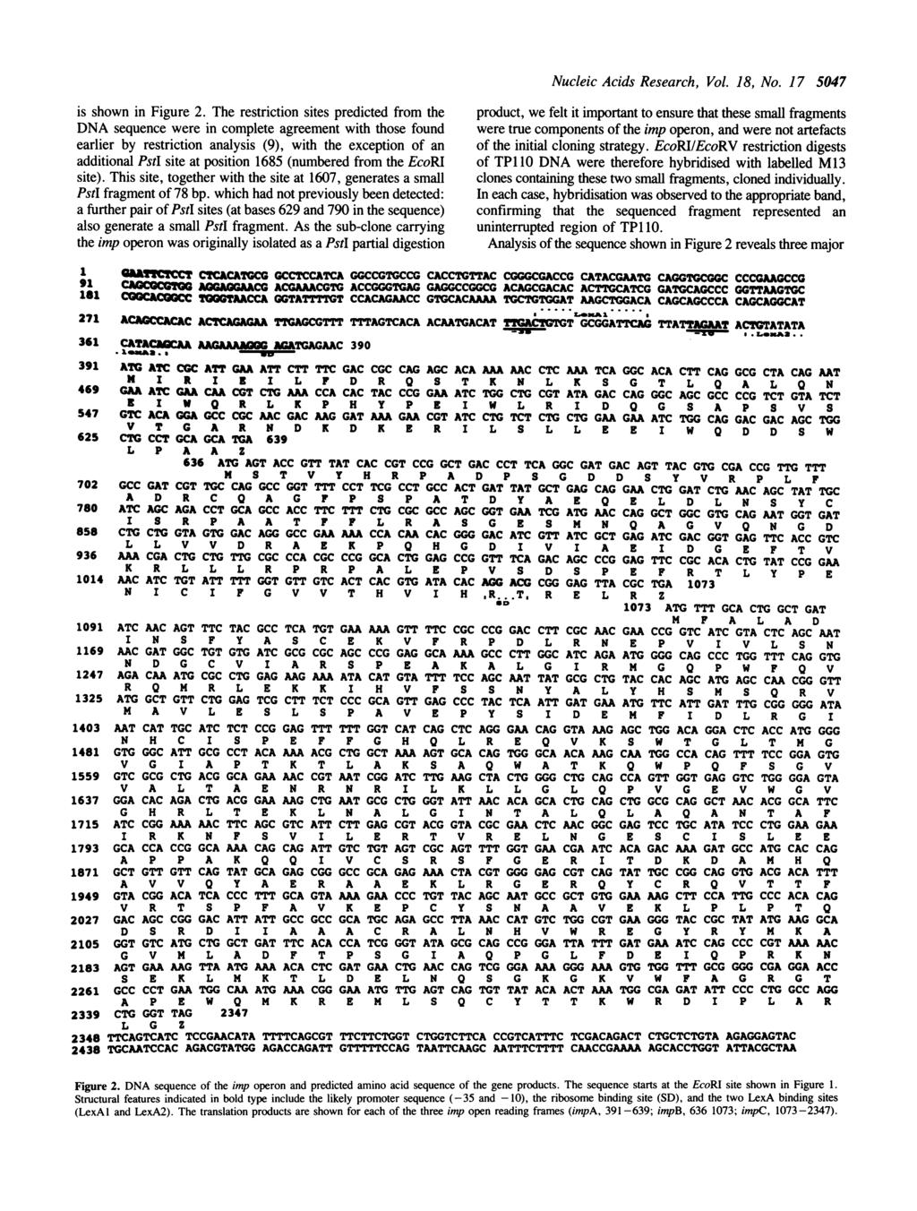 Nucleic Acids Research, Vol. 18, No. 17 5047 is shown in Figure 2.