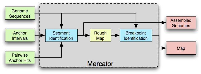 Mercator Orthologous segment identification: graph-based method