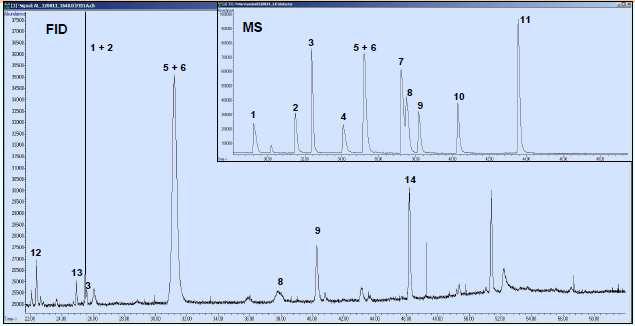GC columns 1 Acetaldehyde 2 Propanal 3 Methacrolein 4 Butanal 5 Acetone 6 Methanol 7 MVK 8 MEK 9 Ethanol 10
