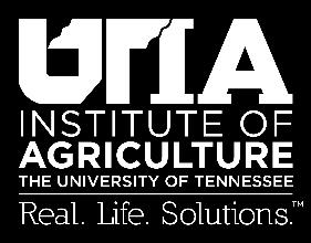 University of Tennessee Institute of