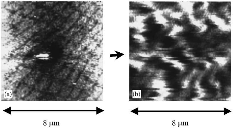 240 A.V. Zayats et al. / Physics Reports 408 (2005) 131 314 Fig. 62. Topography (a) and optical near-field distribution (b) around an artificially created surface defect in the SPP crystal (cf. Fig. 48).