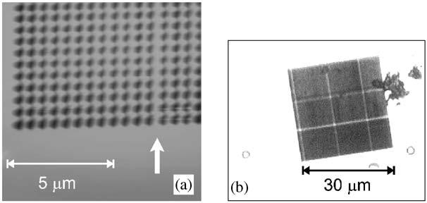 A.V. Zayats et al. / Physics Reports 408 (2005) 131 314 241 Fig. 63. Topography (a) and optical image (b) of the surface polaritonic band-gap structure with orthogonal line-defects.