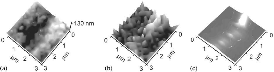 A.V. Zayats et al. / Physics Reports 408 (2005) 131 314 293 Fig. 85. (a) Topography; (b) measured; (c) calculated SH images of a silver surface with a defect supporting a localized surface plasmon.