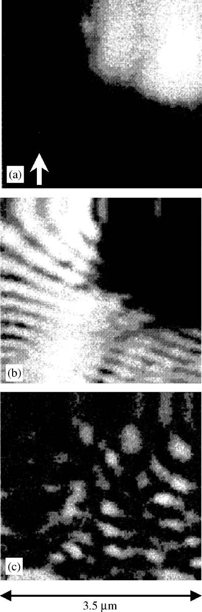A.V. Zayats et al. / Physics Reports 408 (2005) 131 314 183 Fig. 26. Topography (a), near-field (b) and far-field (c) intensity distributions over the smooth gold surface.