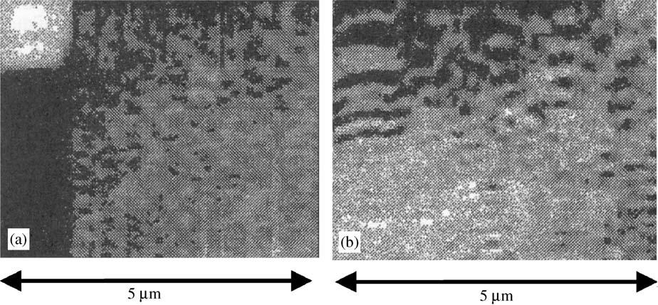 A.V. Zayats et al. / Physics Reports 408 (2005) 131 314 193 Fig. 32. Topography (a) and corresponding near-field intensity distribution (b) obtained with the silver film A.
