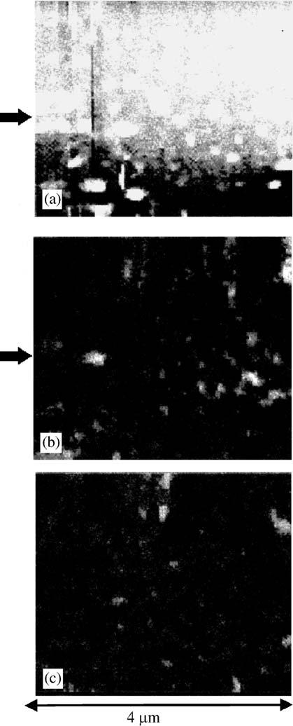 A.V. Zayats et al. / Physics Reports 408 (2005) 131 314 197 Fig. 36. Topography (a) and near-field intensity distributions (b,c) over the rough gold film.