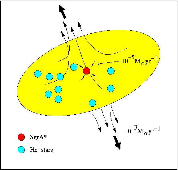 Dynamical Model for Accretion Ineraction between the starburst and the black hole Massloss from stars 10 3 M o yr 1 radiation efficiency of SgrA* 10 8 Bower et al.