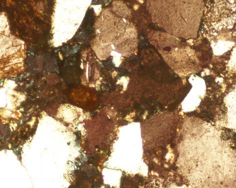 Monazite is present in all the samples and occurs as rounded grains.