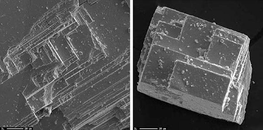 Ellery Frahm) Figure 2. Secondary electron (SE) images. (a) Fossil diatoms.