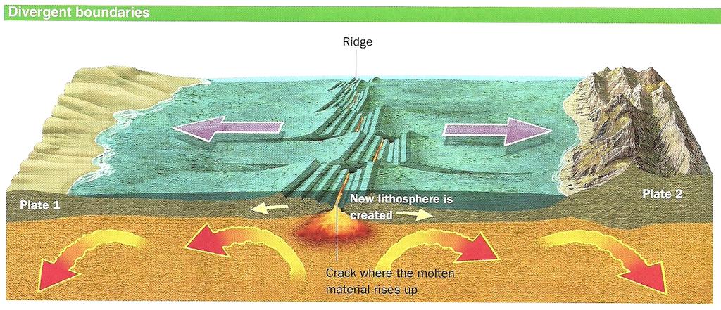 puzzle. - The plates float on top of the asthenosphere, the layer just below the lithosphere.
