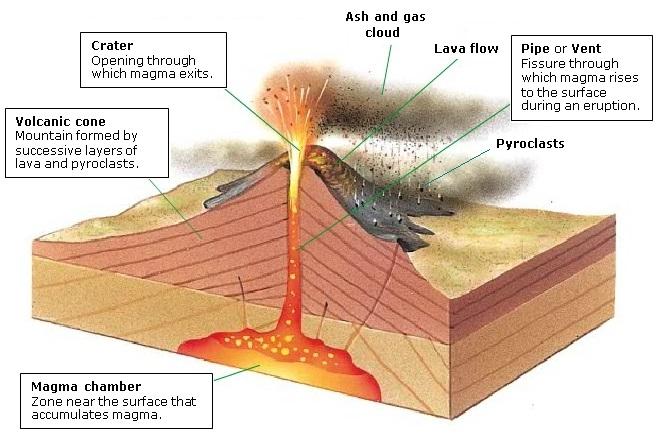 3. Internal geological processes. The internal dynamics of the Earth has as a result different geological phenomena known as internal geological processes.