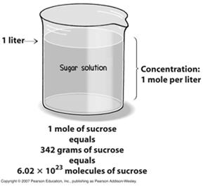 Solution: A homogenous mixture consisting of ions or molecules Solvent: The major component of a solution. Solute: The minor components of a solution.