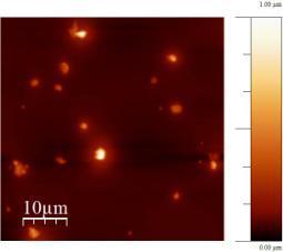 3.3 Transition metal dichalogenides (TMDs) Solvent sonication results AFM was used to determine flake