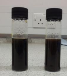 Figure 30 - Left: MoTe 2 in 4 mg/ ml of 1-PSA solution. Right: MoSe 2 in 3 mg/ ml of 1-PSA solution To remove residual 1-PSA molecules from the suspensions, they were washed.