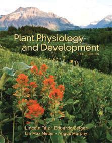 Plant Physiology th