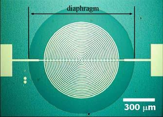 100 cess. However, the diameters of diaphragm actuators were enlarged by around 10% since the DRIE process was not optimized. These diameters were measured using a calibrated optical microscope.