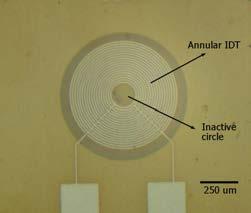 146 Figure 5.41. Fabricated diaphragm actuator with annular IDT electrodes (150 µm diameter inactive circle). Figure 5.42 shows the deflections of diaphragms with different inactive circle sizes when 100 V is applied to the IDT electrodes.