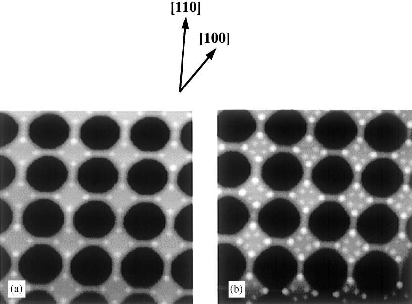 1104 G. Jin et al. / Journal of Crystal Growth 227 228 (2001) 1100 1105 Fig. 5. AFM images with a scanning area of 4 mm 4 mm, showing the dependence of the 2D arrangement of Ge dots on Ge thickness.