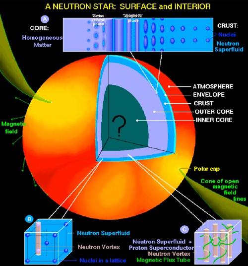 Inside Neutron Stars QGP N, π, K N, Y, e, μ