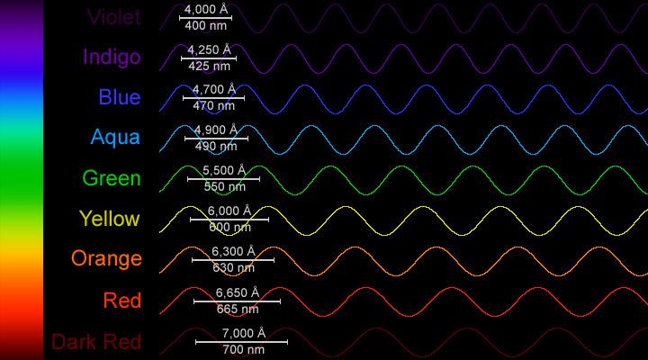 The Color of Light Light waves have different wavelengths and these wavelengths correspond to colors in the visible light spectrum The