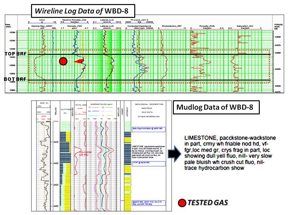 Figure 3. Wireline and Mud log data of WBD-8, one of example well from West Betara Field.