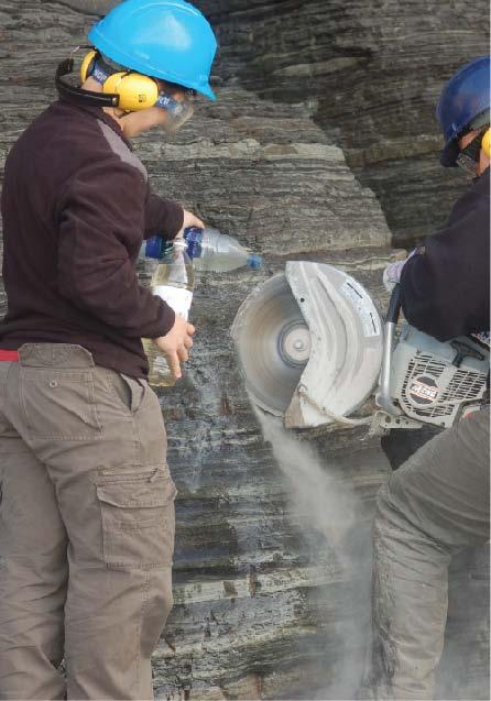 Sampling strategy Field sedimentary logging and ichnofabric analysis of the Beach Formation, Bell Island, Newfoundland.