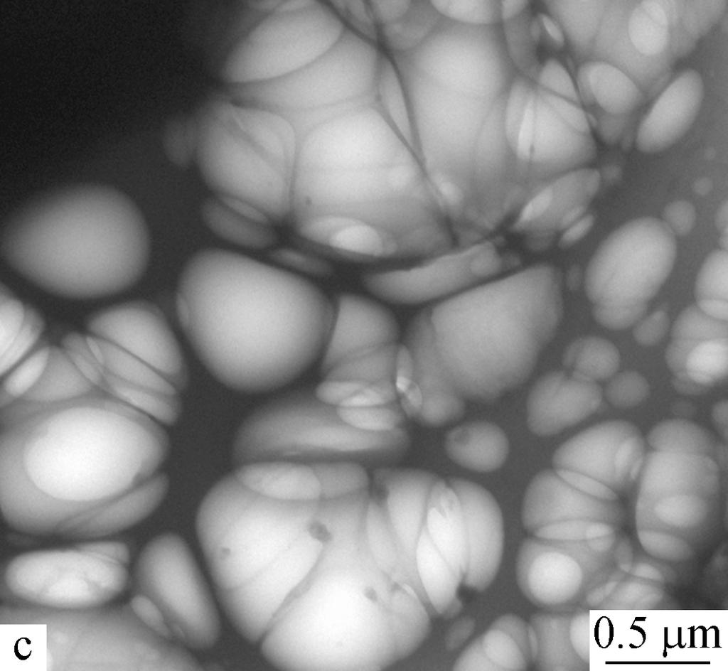 Figures 7(b) and 7(c) show the typical micrographs for the compound with SCCF = 5. The starch particles with a size of 100 400 nm in diameter might be well dispersed in the matrix (Fig. 7b).