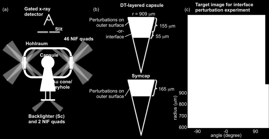 (c) Target image for the experiment with an interface perturbation viewed through the laser entrance hole during cryogenic layering. The capsule, the cone, and the ice layer can be seen.