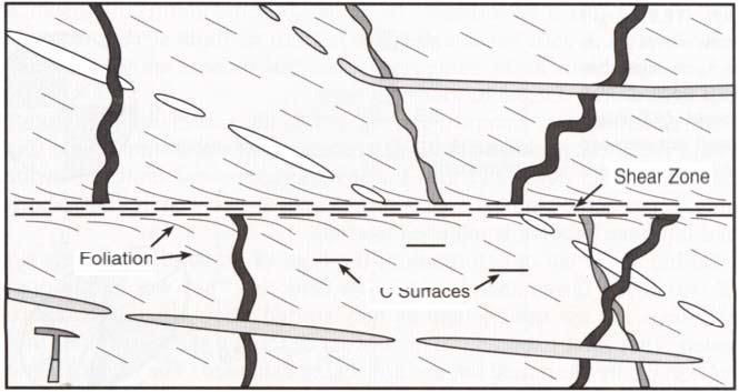 Question 4: Examine the following diagram, which is a field-sketch of dykes of various orientations, and some other (labelled) structures exposed in a cliff face.