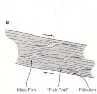 Question 4: Write brief illustrated notes on any four of the following terms, all of which apply to shear zones: a.