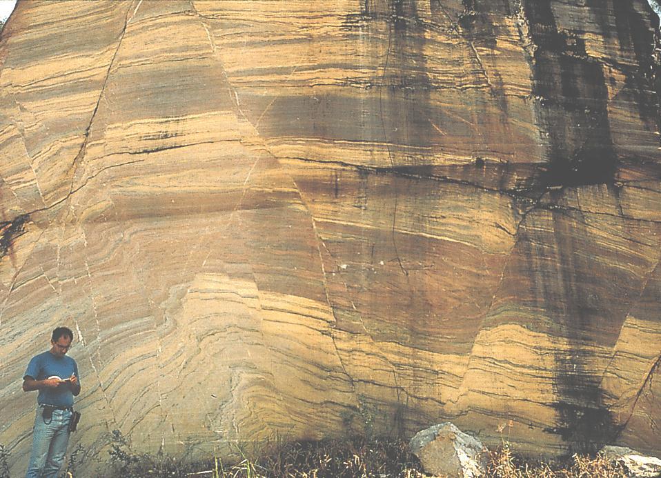 Question 6: Examine the following photograph, which shows a cliff section of sandstone. What secondary structures do you see in the photograph.
