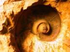 water Shape is preserved in the surrounding sediment http://www.ammonoid.com/manning.
