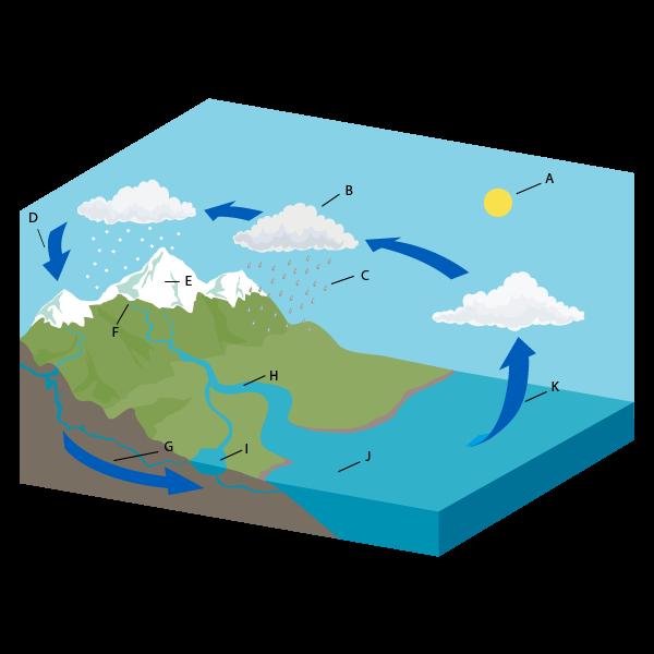 a. B; K b. D; G c. K; D d. G; B 8. The water cycle is the Earth's way of a.
