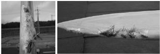 damage as compared to those without. Examples of lightning damage seen on blades without any lightning protection system are shown in Figure 3-4.