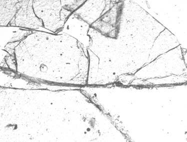 prisms, [8] Fig. 12 Microphotograph of slag, Refracted light, magnification x, parallel Nicol prisms(u.s.steel Serbia). Fig. 13 Microphotograph of olivine in slag, Refracted light, magnification x, parallel Nicol prisms, (U.