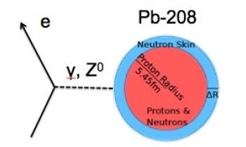 PREX/CREX : Neutral Current as a Probe of the Neutron Weak neutral current : A clean probe couples