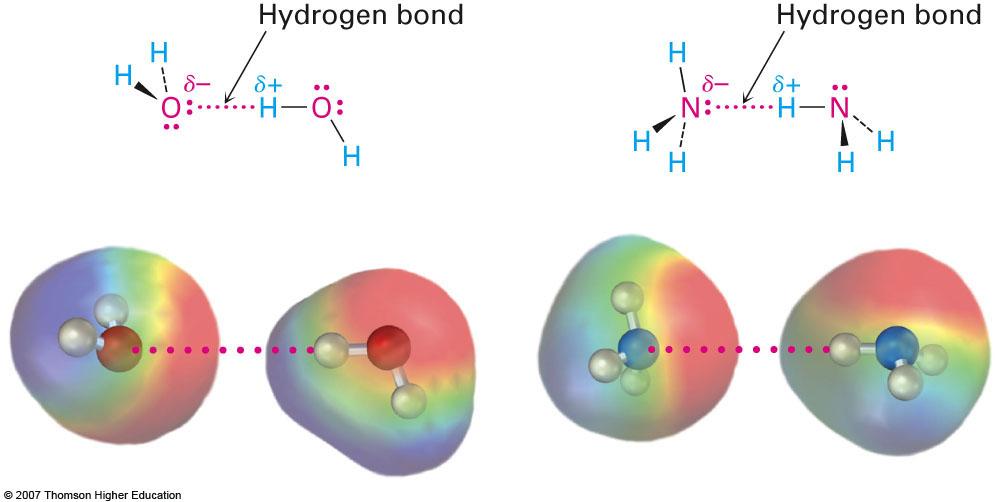 noncovalent interacdon in biological molecules Forces are a result of ajracdve interacdon