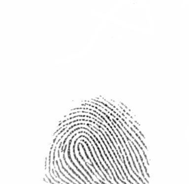 100,000 fingerprints