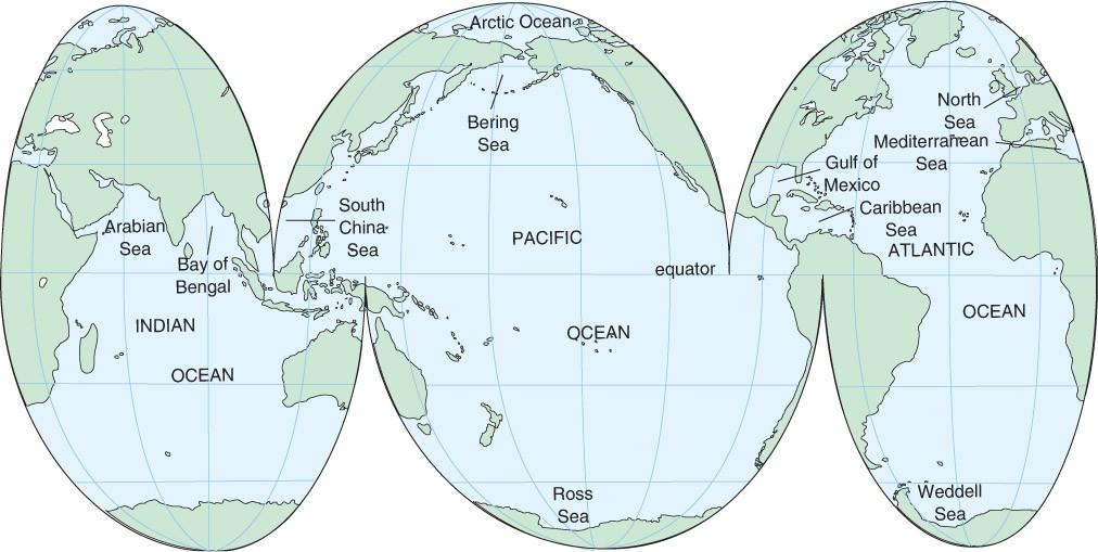 The World Ocean Visualizing