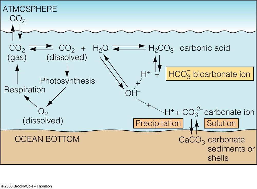 A buffer is a substance that can maintain the ph