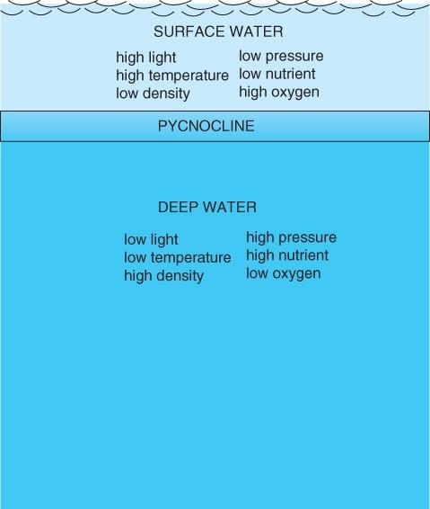 Properties of Seawater Dissolved Nutrients and the Influence of the Pycnocline Fig. 1.