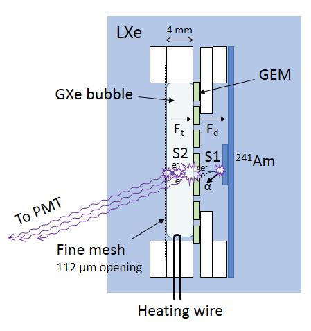 The vertical LHM setup, shown in Figure 4, consisted of the spectroscopic 241 Am alphaparticle source positioned behind a bubble-confinement cage, comprising PTFE spacers, a GEM and a fine-pitch