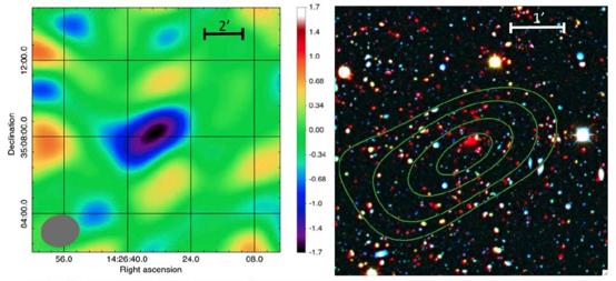 Shallow Chandra survey (Murray+05) SZ: CARMA