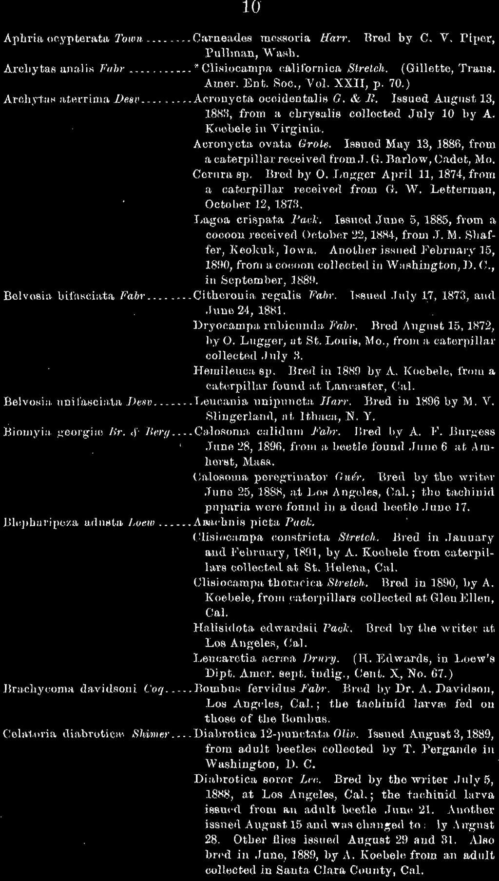 B recl in 1889 ljy A. Koobelo, fro,u a Cll.t 'l'pilhtl' found a.t Lan'a,ster, Cu,). BelvosiH. IInil'l1scin.ta Desv... Loncauiu linipmlota Hm'l'. Bred iu 1896 by M. V. Sliugerla.J1(l, n.t Uhaca., N. Y.