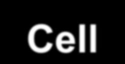 Cell: So,