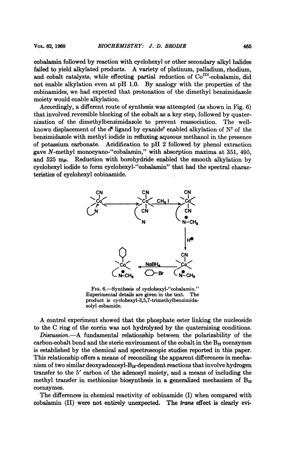 VOL. 62, 1969 BIOCHEMISTRY: J. D. BRODIE 465 cobalamin followed by reaction with cyclohexyl or other secondary alkyl halides failed to yield alkylated products.