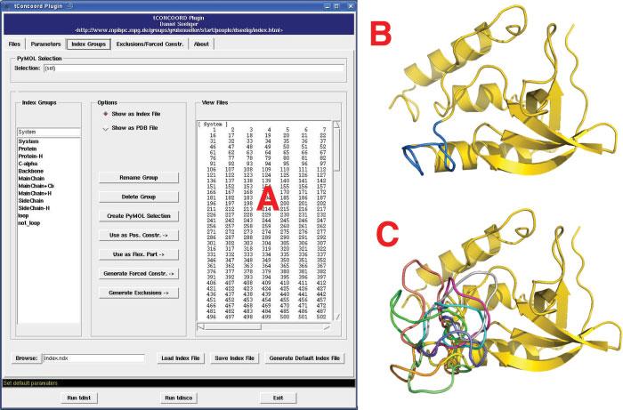 tconcoord-gui: Visually Supported Conformational Sampling 1163 Figure 3. Group definition using PyMOL selections. (A) tconcoord-gui with a loaded Gromacs index file.